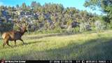 389 Number 4 Road - Photo 44