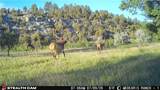 389 Number 4 Road - Photo 45