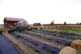 143 Owl Canyon Road Road - Photo 33