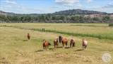 1419 M Road - Photo 42