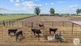 1419 M Road - Photo 43