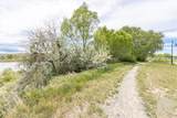 1728 Lone Pine Drive - Photo 36