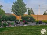1650 Wild Lupine Lane - Photo 46