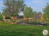 1650 Wild Lupine Lane - Photo 47