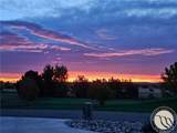 1650 Wild Lupine Lane - Photo 48