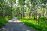 33 Highway 308 - Photo 19