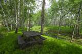 37 Powder River Lane - Photo 9