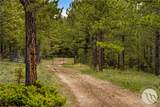 125 Golden Bear Lane - Photo 42