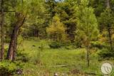 125 Golden Bear Lane - Photo 48