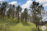 21 Big Buck Trail - Photo 38