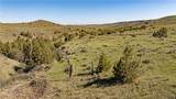 4048 Us Highway 87 East - Photo 35