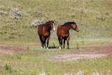 4048 Us Highway 87 East - Photo 40