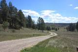 3843 U S Highway 87 - Photo 3
