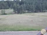 3843 U S Highway 87 - Photo 31