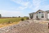 1384 Hackamore Trail - Photo 4
