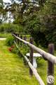 6058 Cottonwood Creek Road - Photo 8