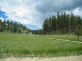 448 Parrot Creek Road - Photo 3
