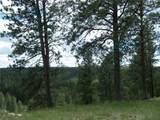 448 Parrot Creek Road - Photo 4