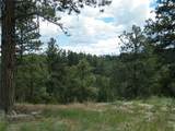 448 Parrot Creek Road - Photo 5