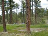 448 Parrot Creek Road - Photo 6