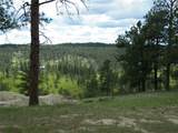 448 Parrot Creek Road - Photo 7