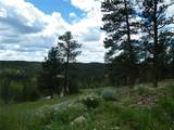 448 Parrot Creek Road - Photo 9