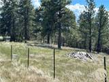 77 Treetop Road - Photo 4