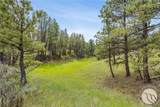 2920 79 Trail Road - Photo 25