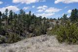 3460 Buffalo Trail Road - Photo 49