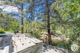4511 Pine Hills Road - Photo 15