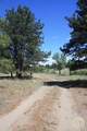 130 Shoe String Road - Photo 23