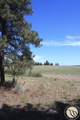 130 Shoe String Road - Photo 24