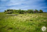 289 Hailstone Basin Road - Photo 14
