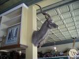 23 Main Street - Photo 10