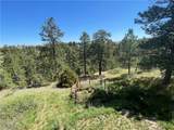 3111 Chief Looking Glass Road - Photo 2