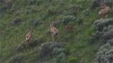 NA Citadel Trail - Photo 12