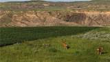 NA Citadel Trail - Photo 22