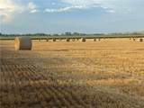 990 Highway 72 - Photo 12