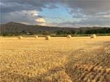 990 Highway 72 - Photo 13