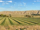 990 Highway 72 - Photo 15