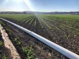 990 Highway 72 - Photo 2