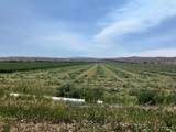 990 Highway 72 - Photo 4