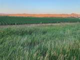 990 Highway 72 - Photo 8