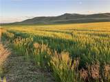 990 Highway 72 - Photo 9