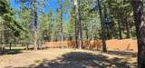 456 Blue Jay Lane - Photo 22