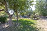 1710 Patricia Lane - Photo 34