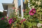 213 Hauser Avenue - Photo 44