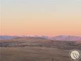 33 Crazy Bear Trail - Photo 47