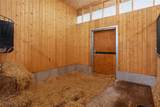 297 Paper Trail - Photo 45