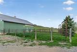 297 Paper Trail - Photo 49